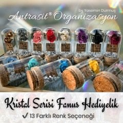 Kristal Taşlı Renkli Gül Fanus Hediyelik Nikah Nişan Söz Şekeri