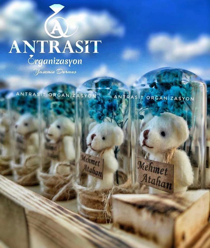 Ayıcıklı Mini Cam Fanus Bebek Şekeri Hediyelik