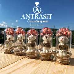 Ayıcıklı Mini Cam Fanus Bebek Şekeri Hediyelik