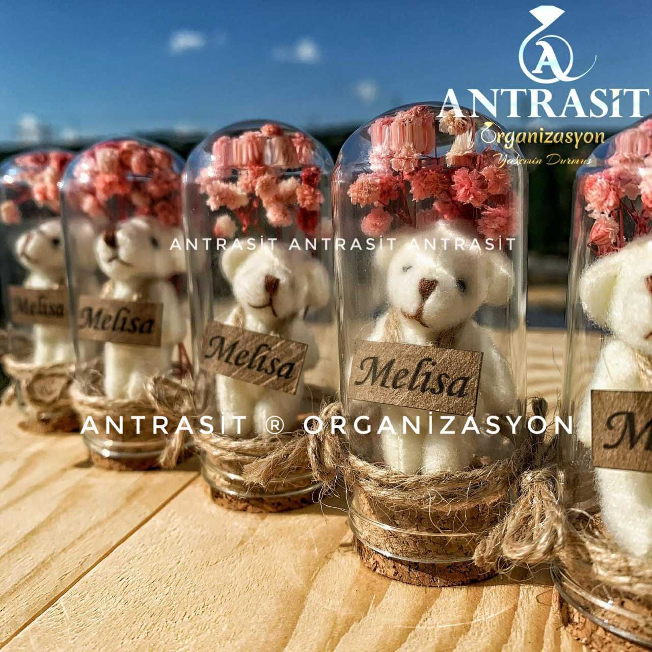 Ayıcıklı Mini Cam Fanus Bebek Şekeri Hediyelik