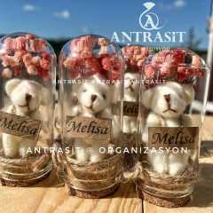 Ayıcıklı Mini Cam Fanus Bebek Şekeri Hediyelik