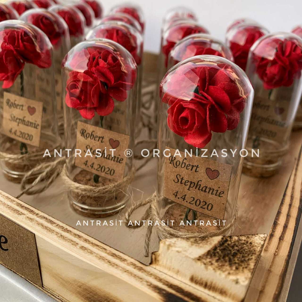 Kırmızı Gül Mini Cam Fanus Nikah Nişan Söz Bebek Şekeri Hediyelik