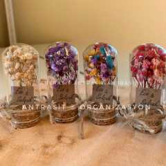 Kuru Çiçekli Mini Cam Fanus 6 Farklı Renk Nikah Nişan Söz Şekeri