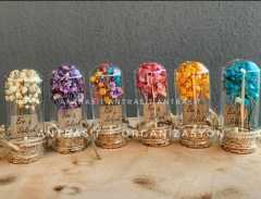 Kuru Çiçekli Mini Cam Fanus 6 Farklı Renk Nikah Nişan Söz Şekeri