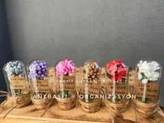 TASARIM ÜRÜNÜ MİNİ CAM FANUS HEDİYELİK SÖZ NİŞAN NİKAH ŞEKERİ