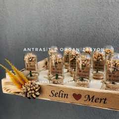 TASARIM ÜRÜN MİNİ CAM FANUS HEDİYELİK SÖZ NİŞAN NİKAH ŞEKERİ GOLD