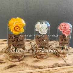 MİNİ CAM FANUS HEDİYELİK SÖZ NİŞAN NİKAH ŞEKERİ - RENKLİ GÜL -