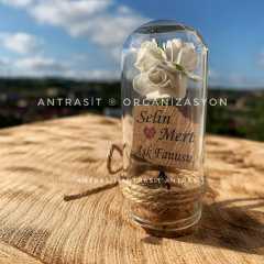 MİNİ CAM FANUS HEDİYELİK SÖZ NİŞAN NİKAH ŞEKERİ - RENKLİ GÜL -